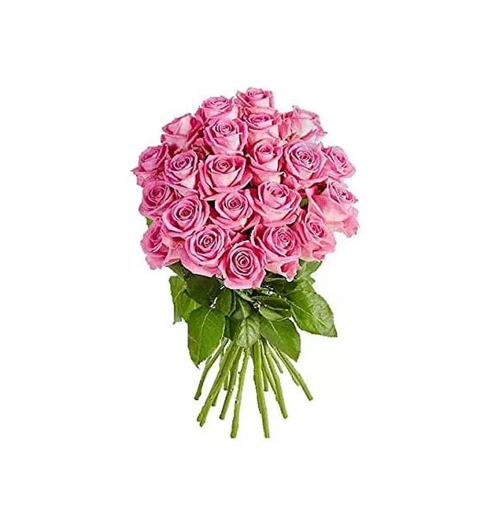 24 Pink Roses Bunch