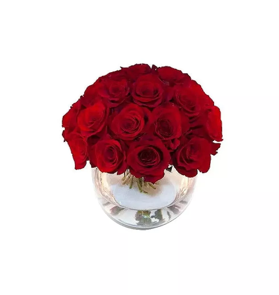 Red Roses in Vase