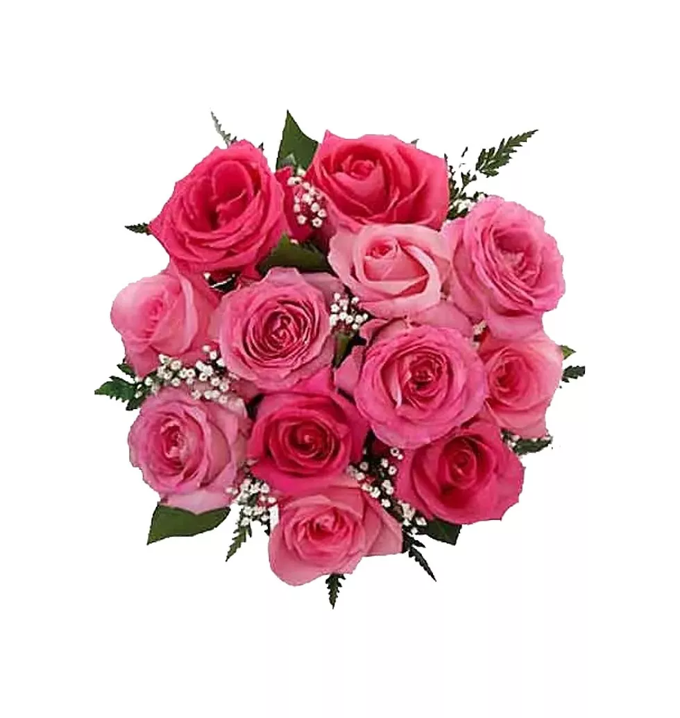 One Dozen Pink Roses