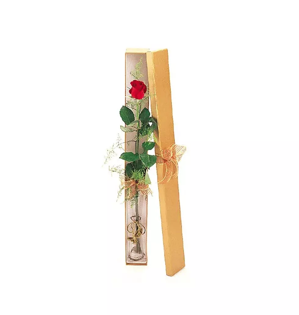 1 pc Red Rose in a Box