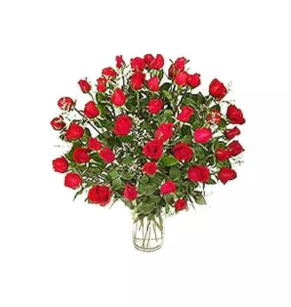 4 dozen red roses in a vase.