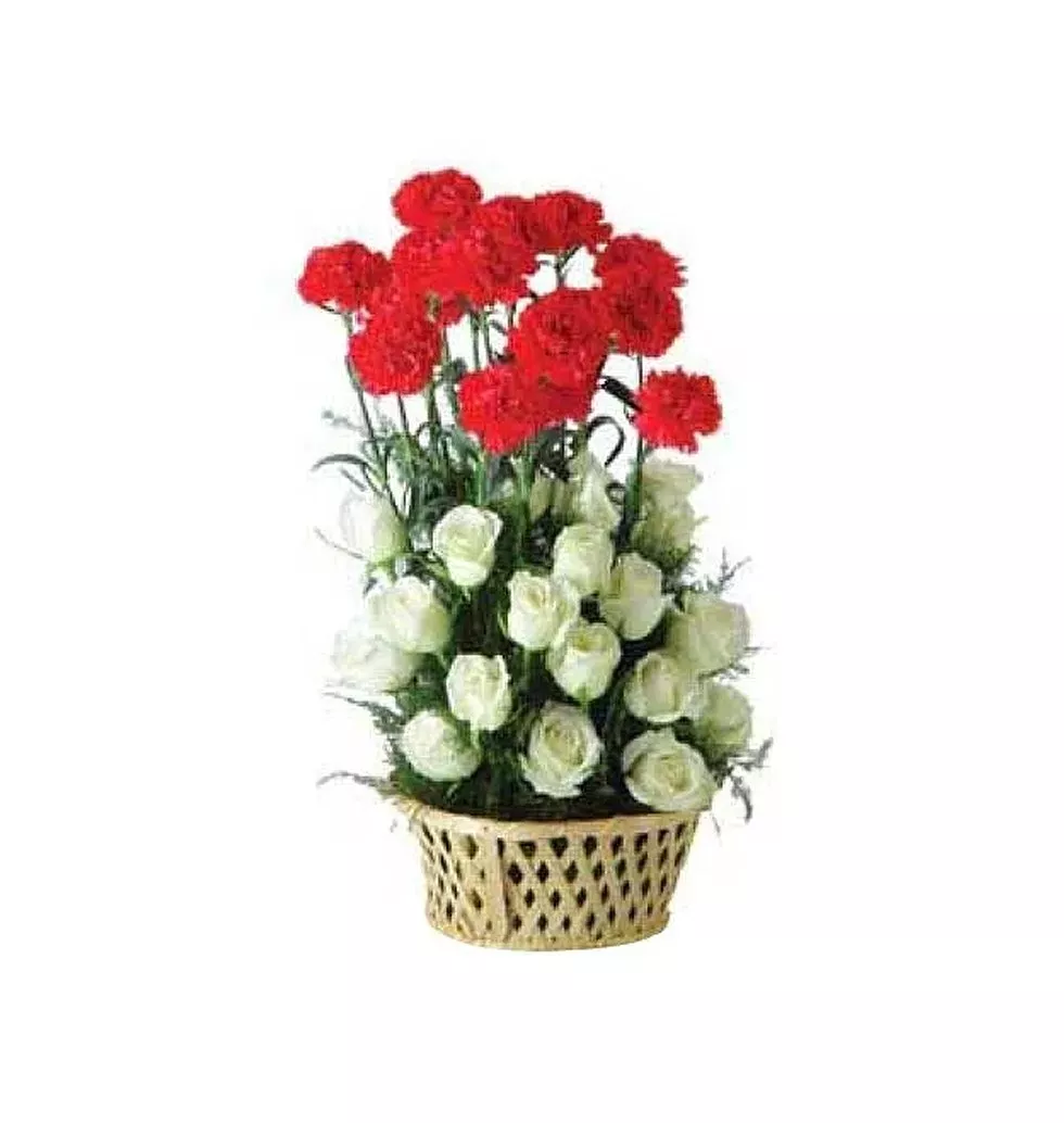 1 dozen Red Carnations