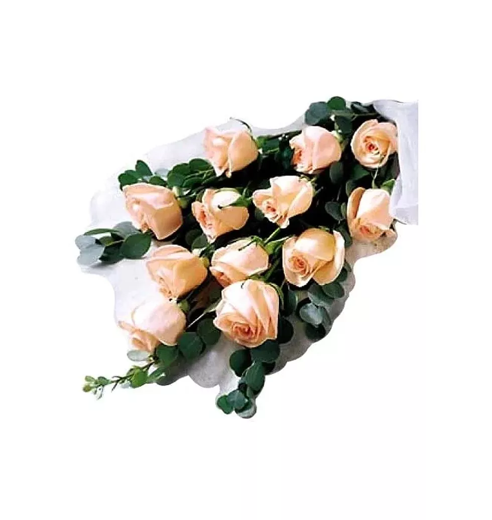 1 dozen peach roses in a nice bouquet!