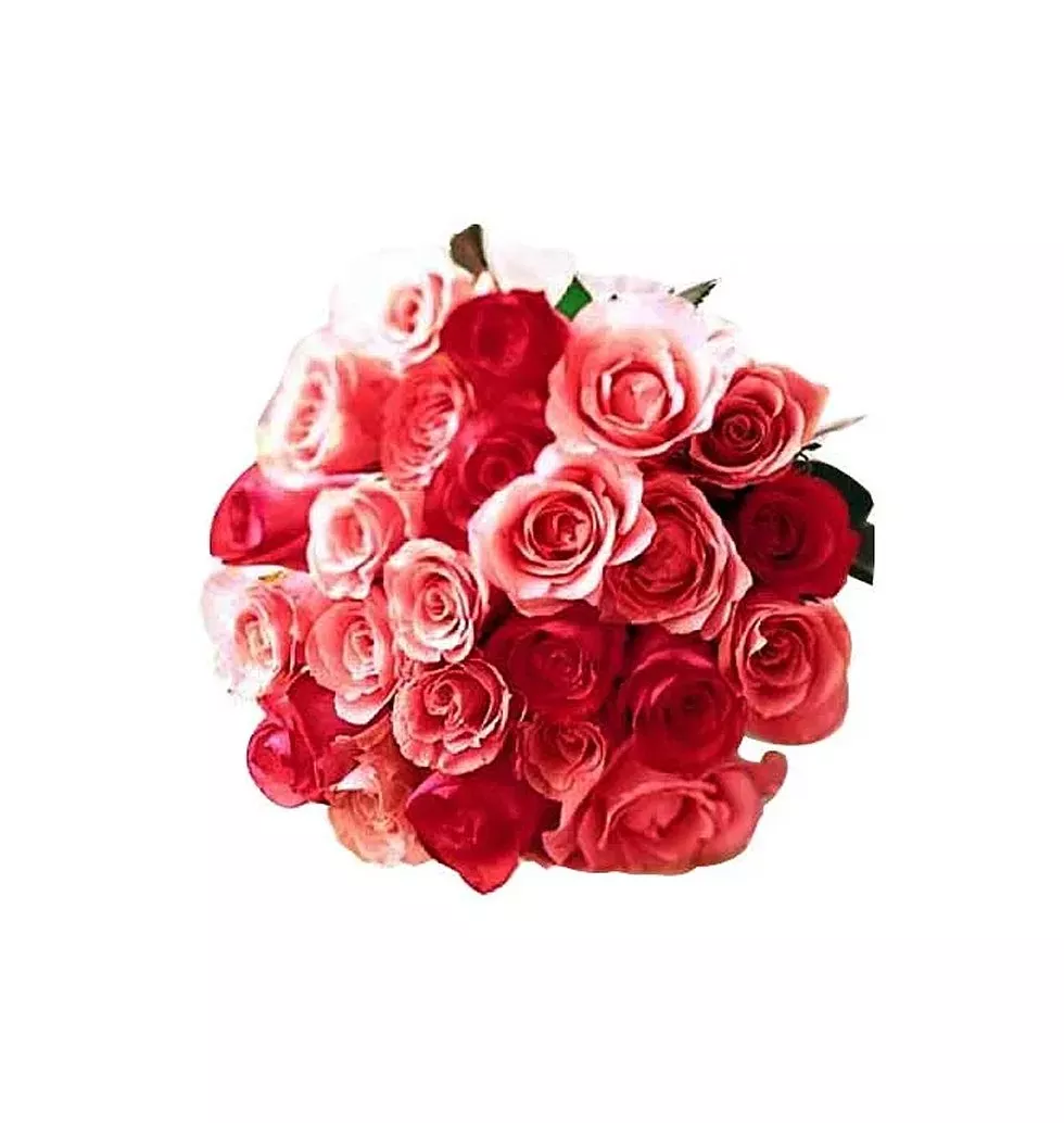 2 dozen red n pink roses mix