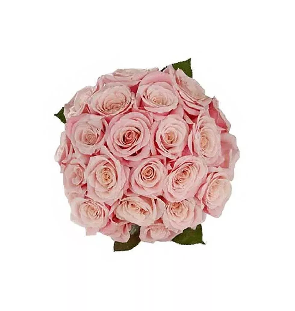 2 dozen pink roses in bouquet