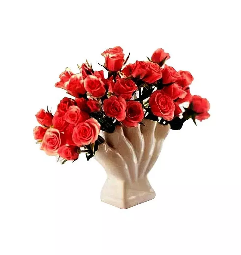2 dozen peach roses in a vase