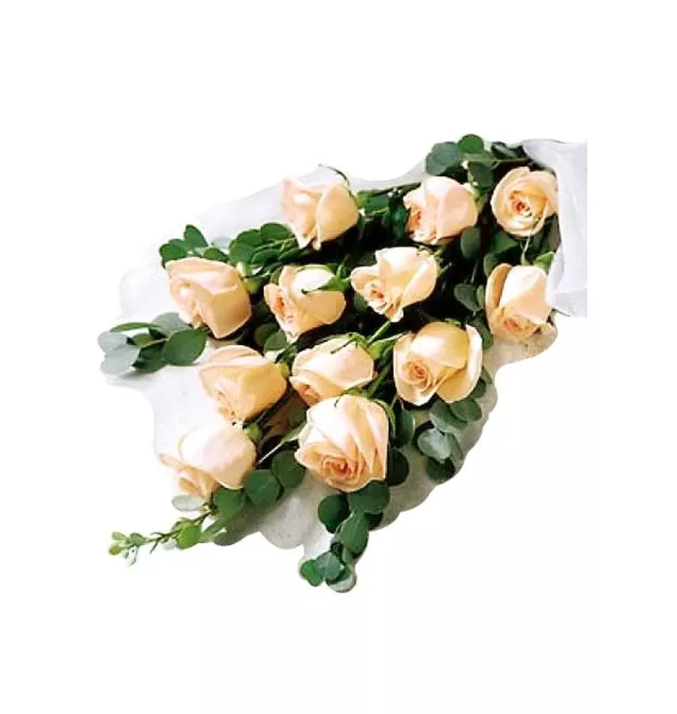 1 dozen peach roses in bouquet