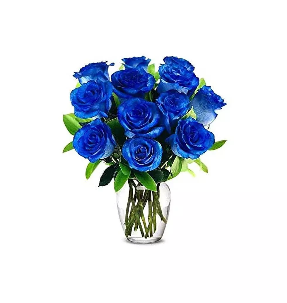 1 dozen blue roses in a vase