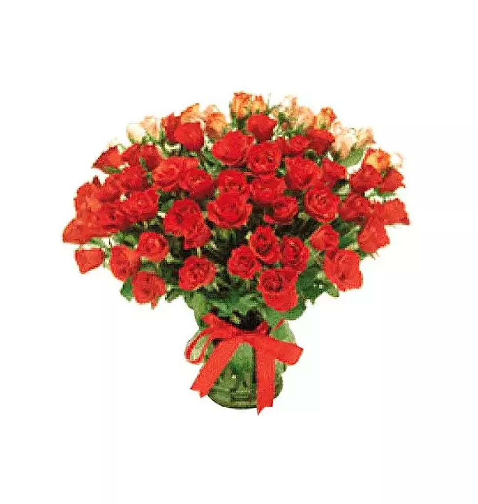 5 dozen red roses in a vase/Box