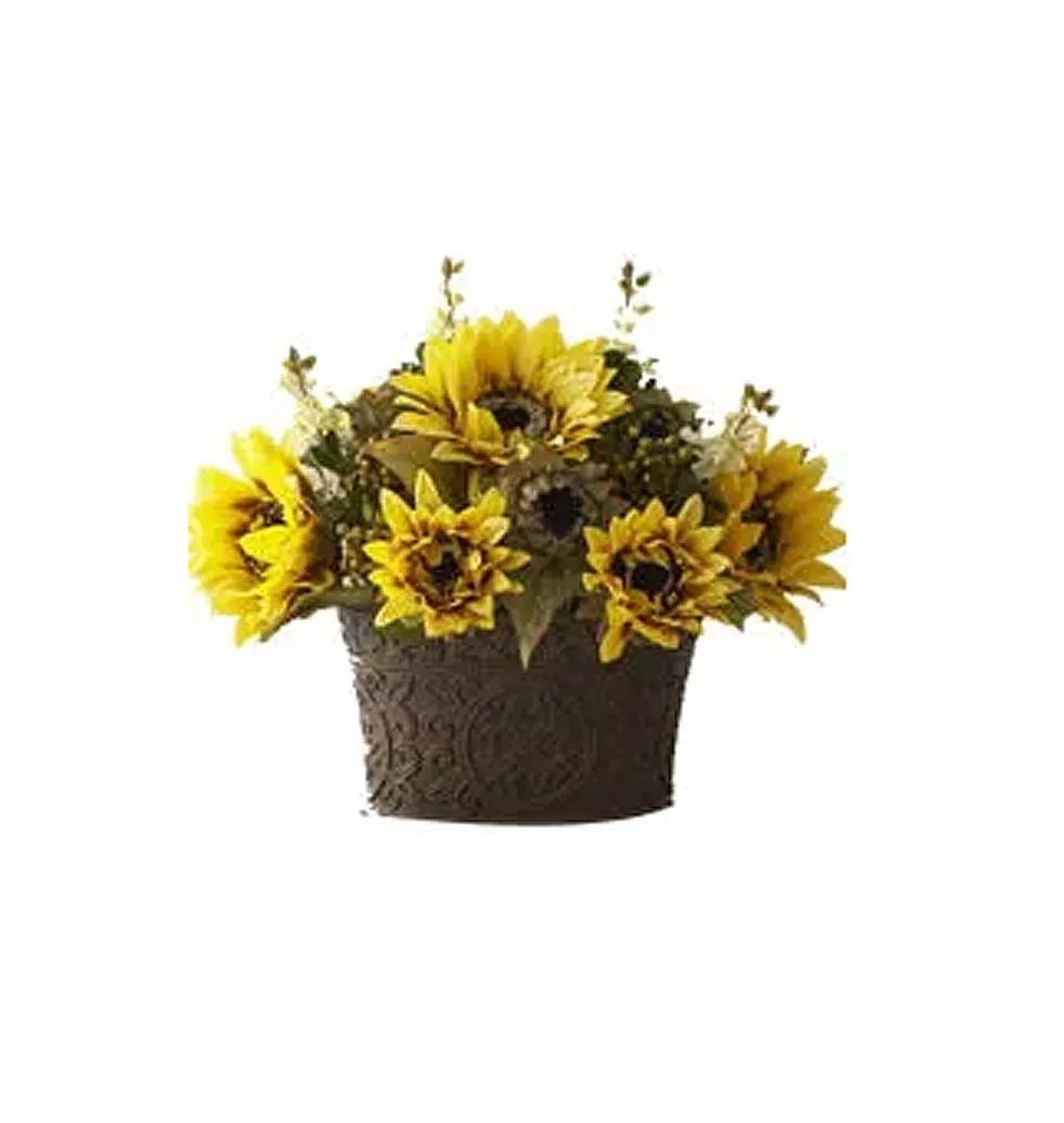 5pcs Cut Sunflower in a Basket