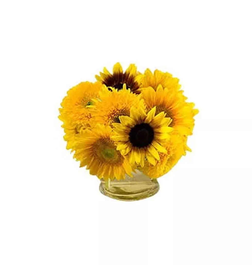 6pcs Sunflower in a Vase