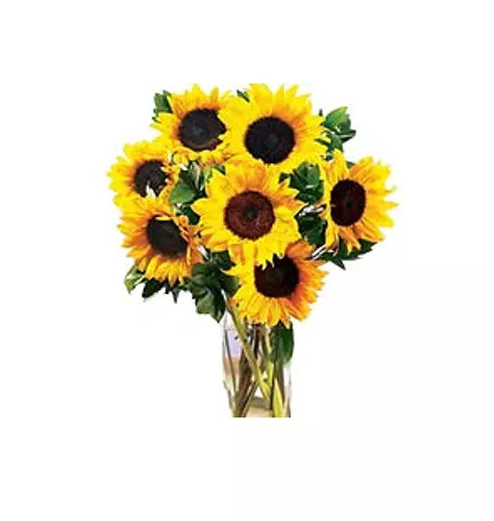 7pcs Sunflower in a Vase