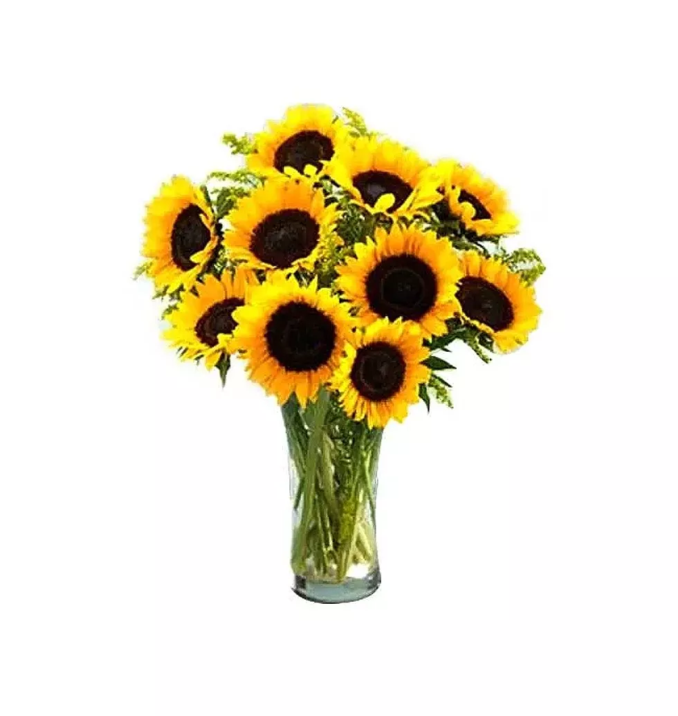 One Dozen Sunflower in a Vase