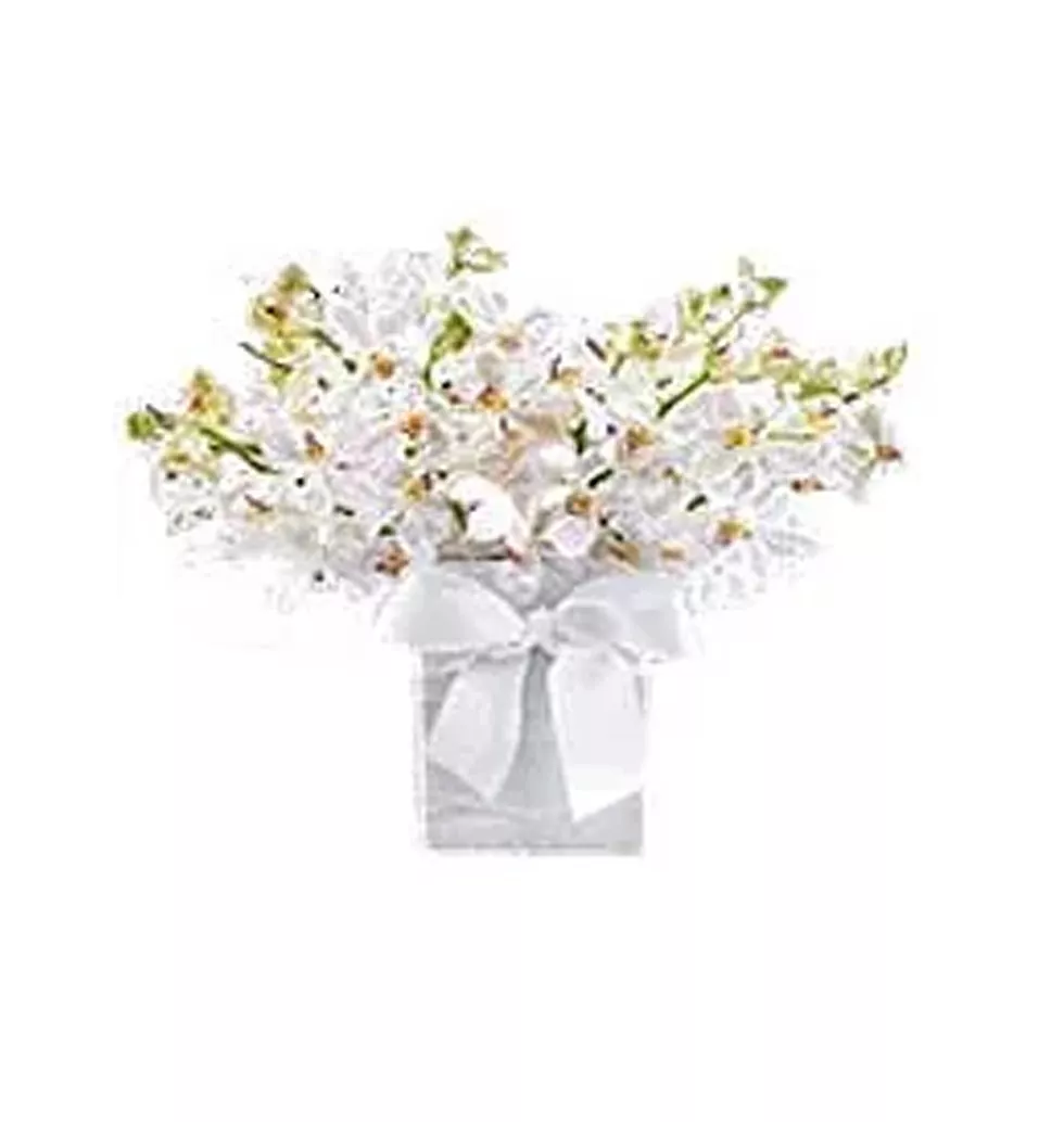 Three Dozen White Orchids in a Vase