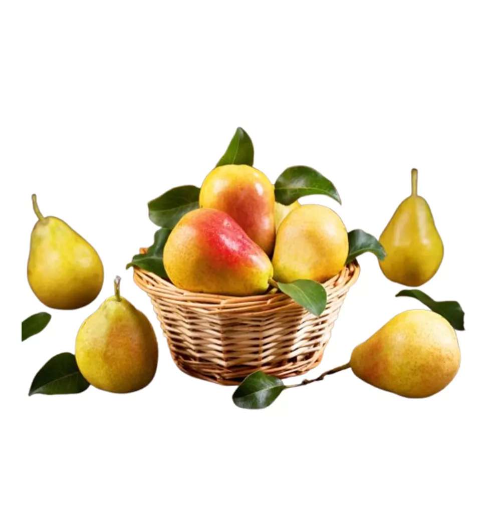 Pear Bonanza Gift Box