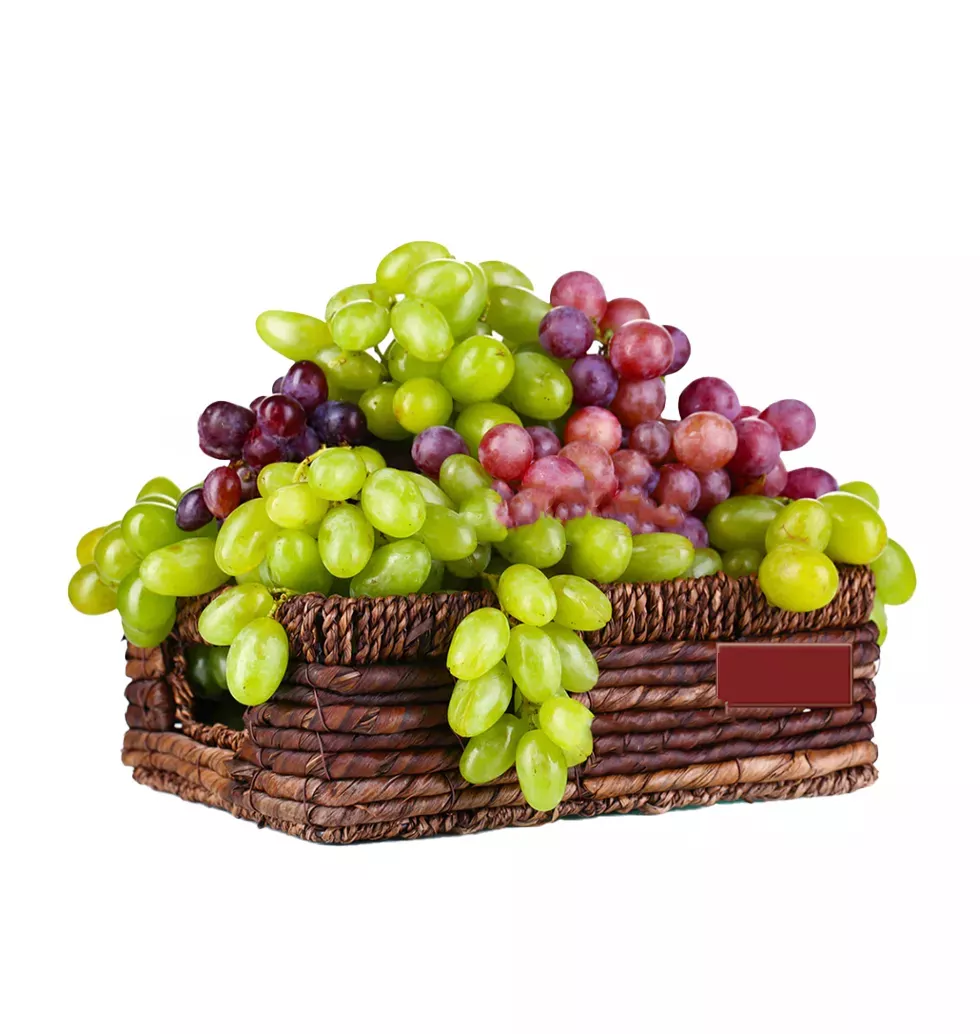 Berry Best Grapes Bundle